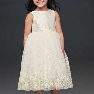 David’s Bridal Flower Girl / Communion Tulle Dress